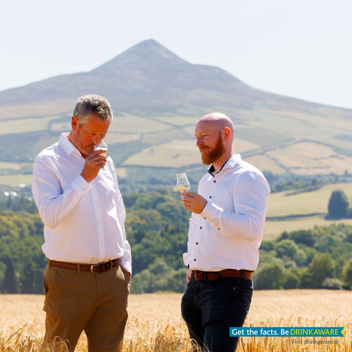 The countdown begins! 🌾✨ It’s almost time to harvest the barley on Powerscourt Estate 🥃

#FercullenWhiskey #HarvestTime #PowerscourtEstate #FromFieldToGlass #IrishWhiskey