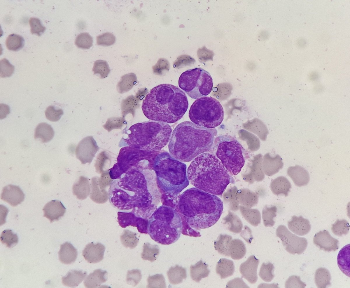 Marcin Jesień tweet media