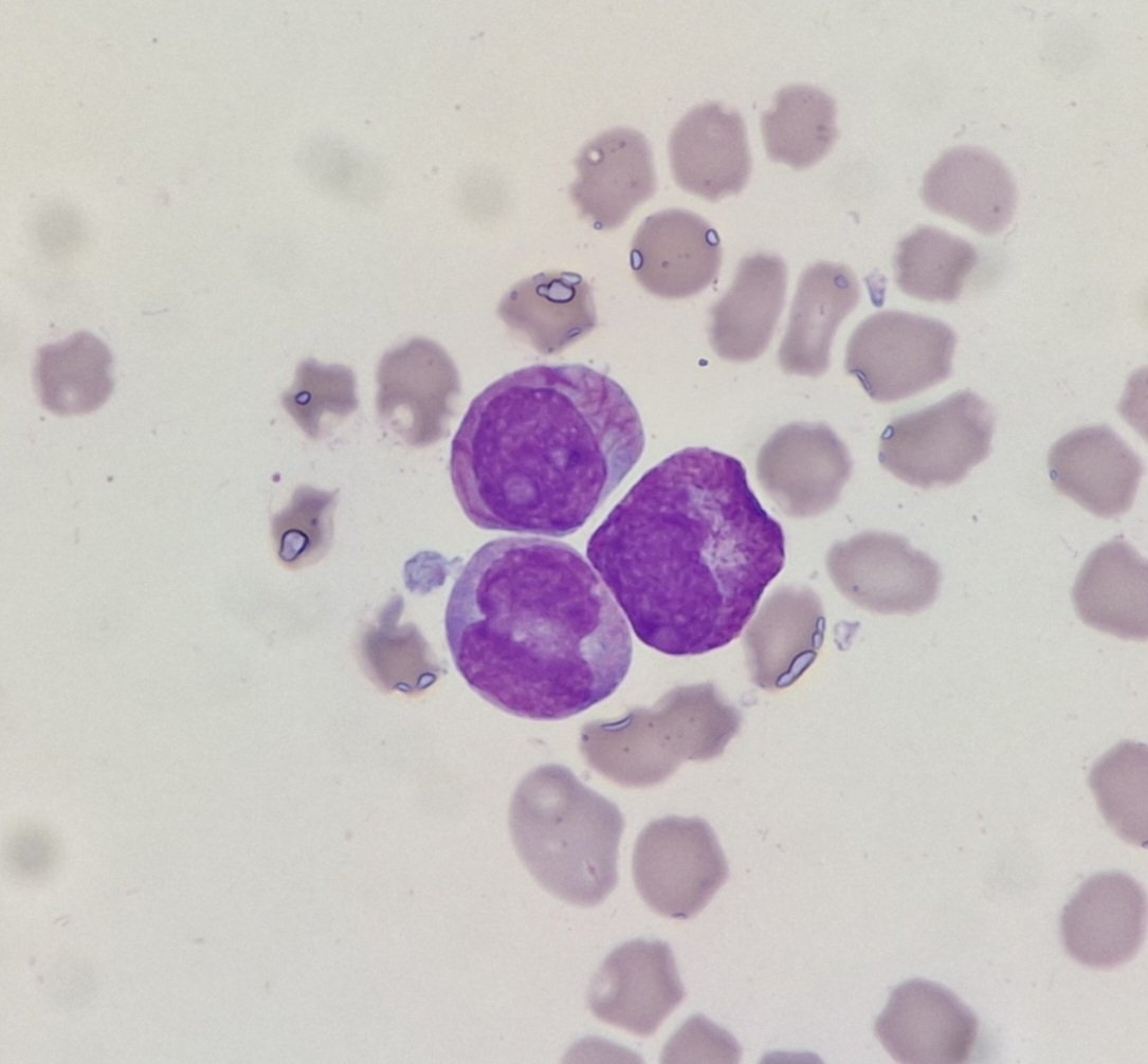 Marcin Jesień tweet media