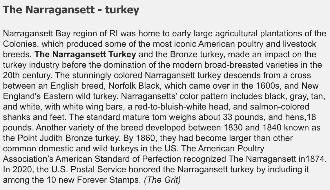 RINewsToday's tweet photo. Did you know?
#DidYouKnow #NarragansettTurkey #turkey #RIRed #RhodeIsland #Narragansett https://t.co/LibU0AIw5n