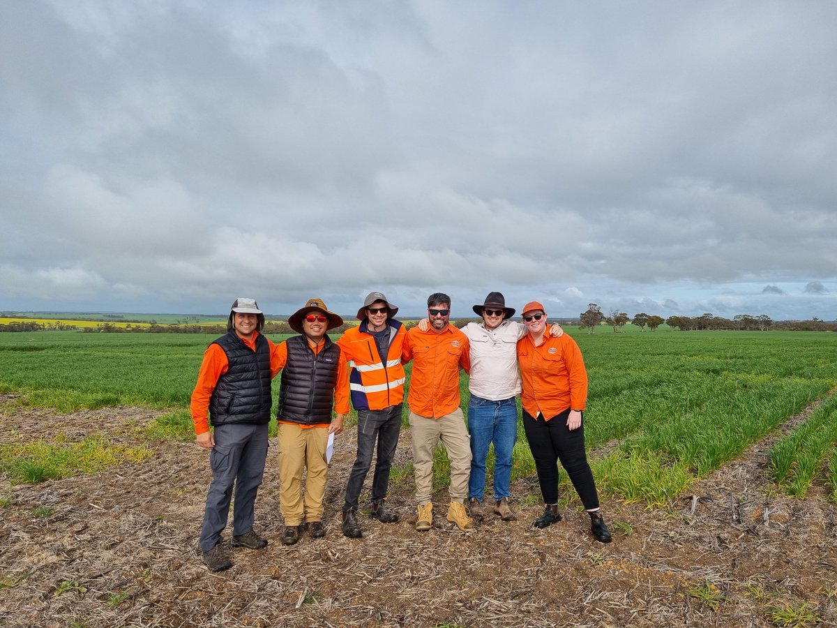 I'm so proud to lead this talented team! InterGrain Wheat breeders and techos all in the same paddock, checking out thousands of new varieties! <a href="/jfredgodoy/">Jayfred Godoy</a> <a href="/CalumWatt12/">Calum Watt</a> <a href="/InterGrain1/">InterGrain</a>
