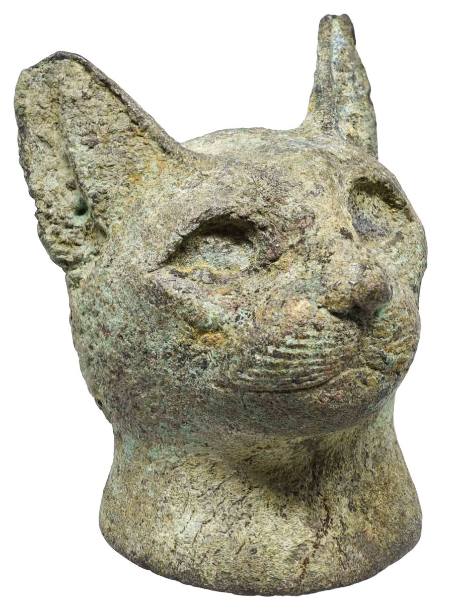 To celebrate #InternationalCatDay, here's a very sweet little cat from the Harrogate Egyptian Collection.

harrogate.abasetcollections.com/Objects/Detail…