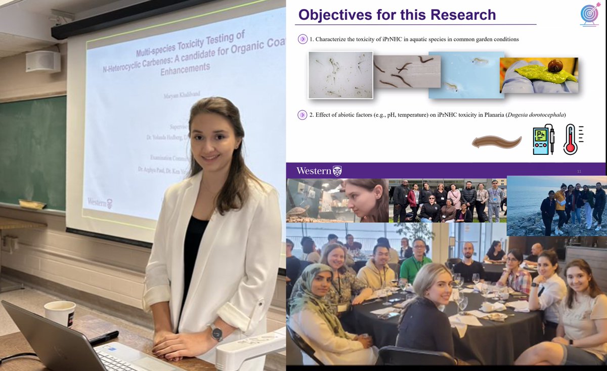 Yolanda Hedberg (@hedberglab) on Twitter photo Maryam Khalilvand successfully defended her Master of Science project on aquatic ecotoxicity studies of novel coating candidate molecules in the <a href="/_C2MCI/">Carbon to Metal Coating Institute (C2MCI)</a>. She was supervised by @OanyBee and me, and was a <a href="/CreateCorrect/">CREATE CORRECT Program</a> awardee with a mobility at Ryan Prosser's lab at UoGuelph. Maryam Khalilvand successfully defended her Master of Science project on aquatic ecotoxicity studies of novel coating candidate molecules in the <a href="/_C2MCI/">Carbon to Metal Coating Institute (C2MCI)</a>. She was supervised by @OanyBee and me, and was a <a href="/CreateCorrect/">CREATE CORRECT Program</a> awardee with a mobility at Ryan Prosser's lab at UoGuelph.