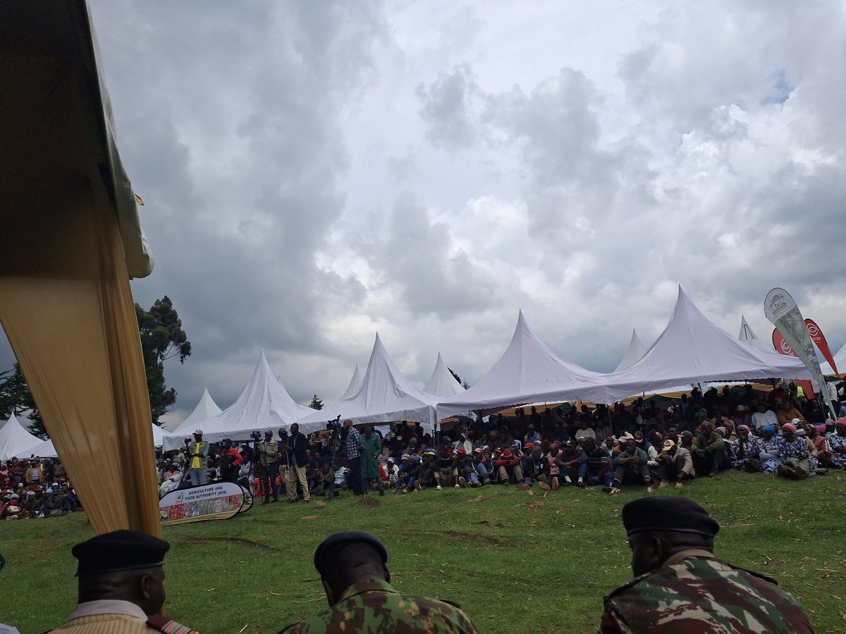 Immaculate Njuthe Maina tweet media