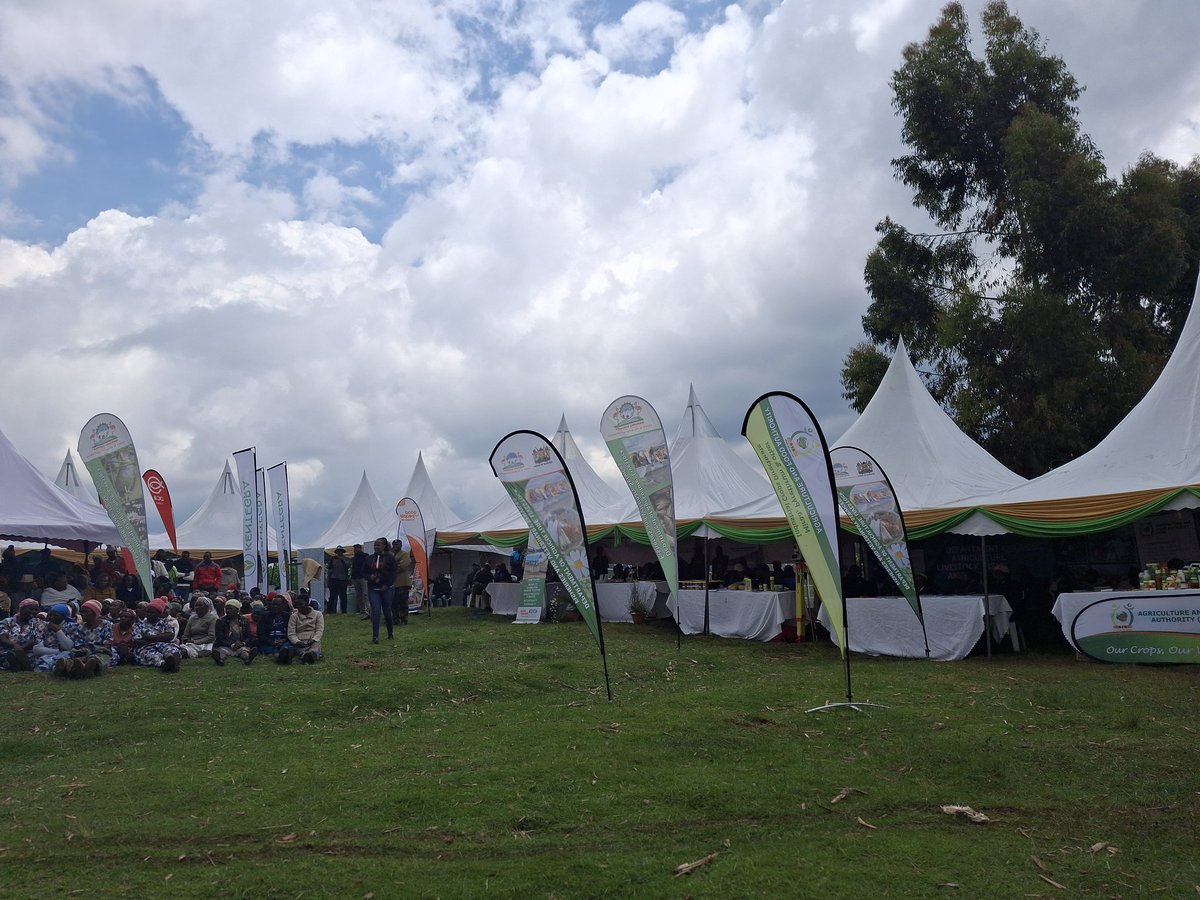 Immaculate Njuthe Maina tweet media