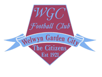 The Pitching In Southern Football League tweet media