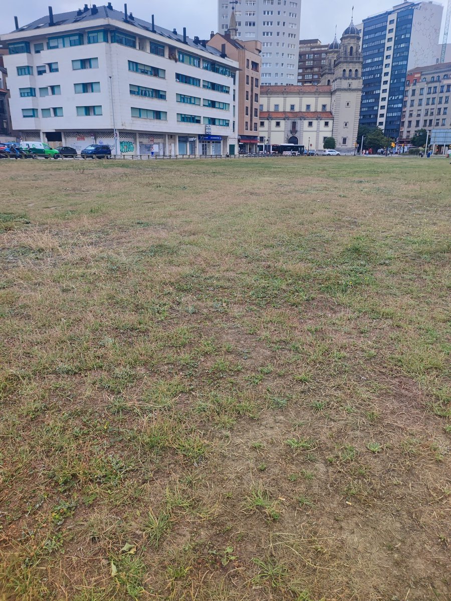 XurdeLains's tweet image. Llamaronlo #SOLARON y es el TRASTERON  de #Xixón. Vale para todo.