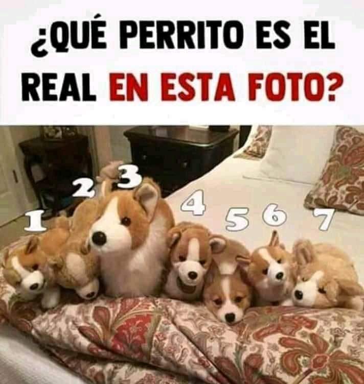 VidaEquilibrada tweet media