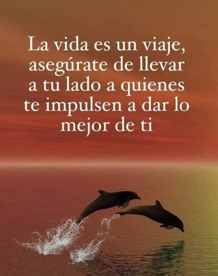 VidaEquilibrad4's tweet photo. https://t.co/659ODCj2Kj