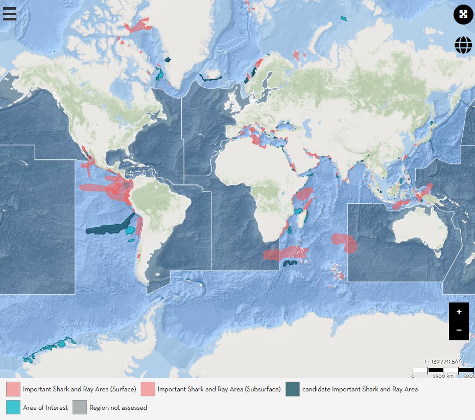 Important Shark and Ray Areas - ISRAs tweet media