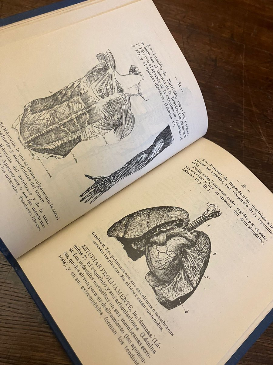 #Efeméride Un día como hoy nació Ernestina Pérez Barahona, quien a los 22 años se convirtió en la segunda médica cirujana de Chile y América Latina. Se especializó en ginecología y puericultura y dedicó su vida a investigar las enfermedades que afectan a las mujeres.