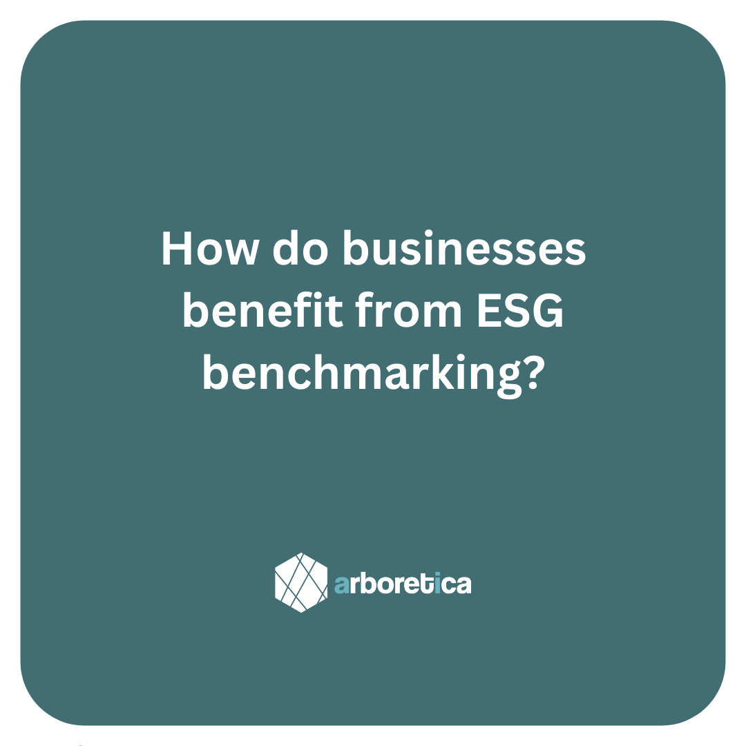 arboretica's tweet photo. How does #ESGbenchmarking empower businesses?

Arboretica actively supports businesses with ESG benchmarking. Check out our website, https://t.co/mp8ZI1Ac9B for examples and a better understanding, and contact us at info@arboretica.com.

#climateaction #ESGcommitments https://t.co/psgsoT5ChB