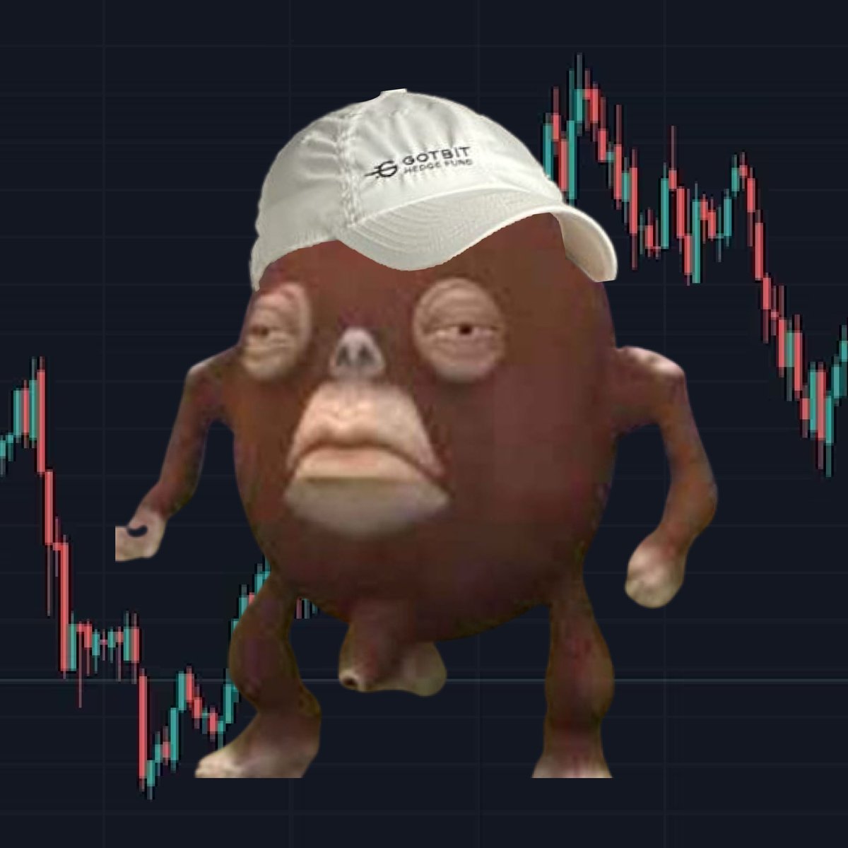 <a href="/jajaksol/">JAJAK</a> Will be $JAJAK on our space today?