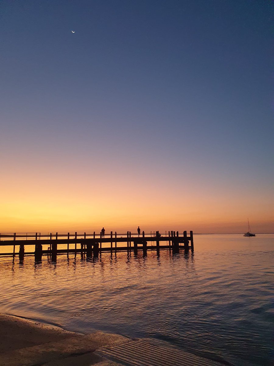 Stephanie L King @stephanielking.bsky.social tweet media