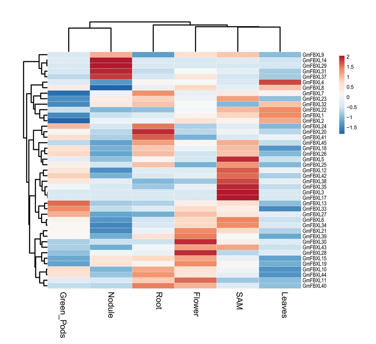Physiologia Plantarum (@pplplantarum) on Twitter photo Characterization of F-BOX proteins with C-terminal LRR domains in soybean. Genome-wide study and focus on GmFBXL12 with a potential role in yield enhancement.
Read more bit.ly/4ba4bRp <a href="/AimanHina/">Aiman Hina</a> Characterization of F-BOX proteins with C-terminal LRR domains in soybean. Genome-wide study and focus on GmFBXL12 with a potential role in yield enhancement.
Read more bit.ly/4ba4bRp <a href="/AimanHina/">Aiman Hina</a>