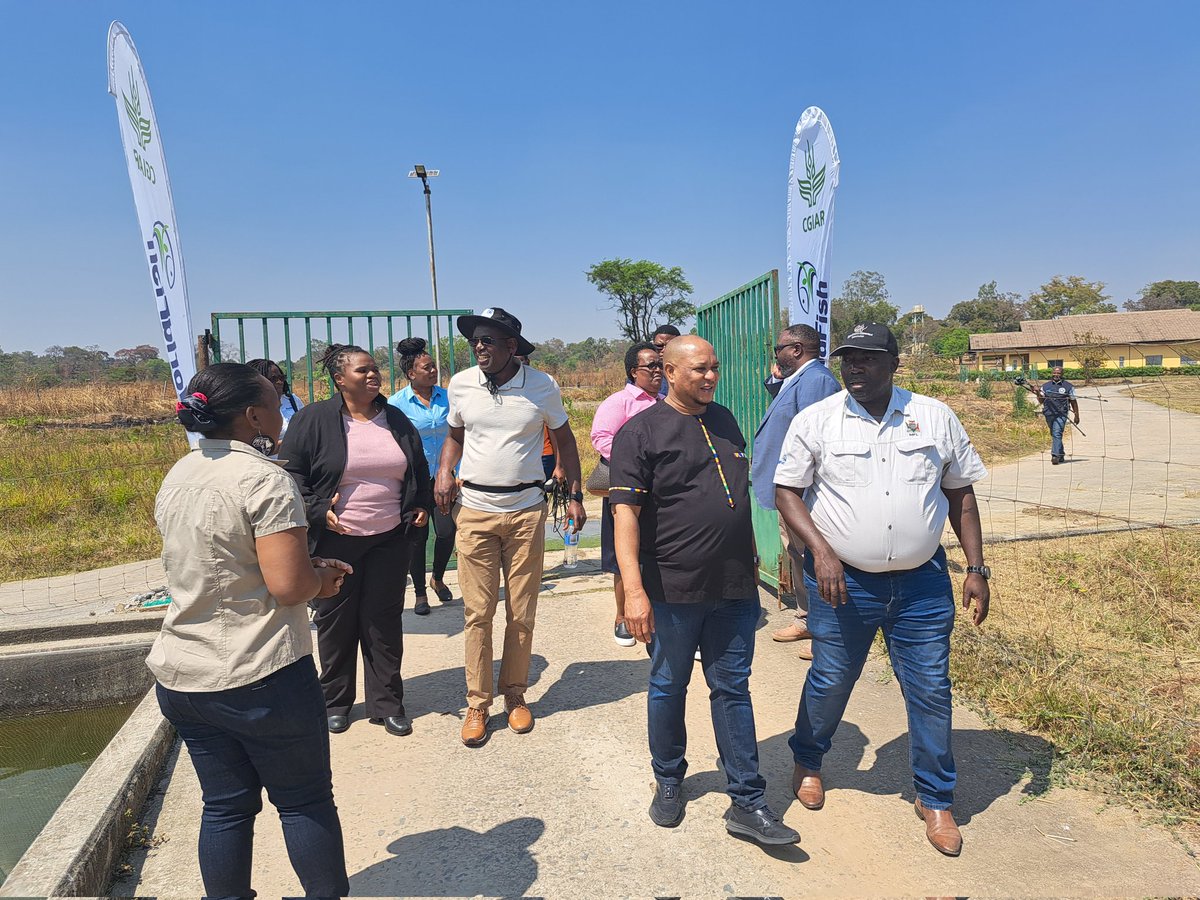 Agness Chileya tweet media