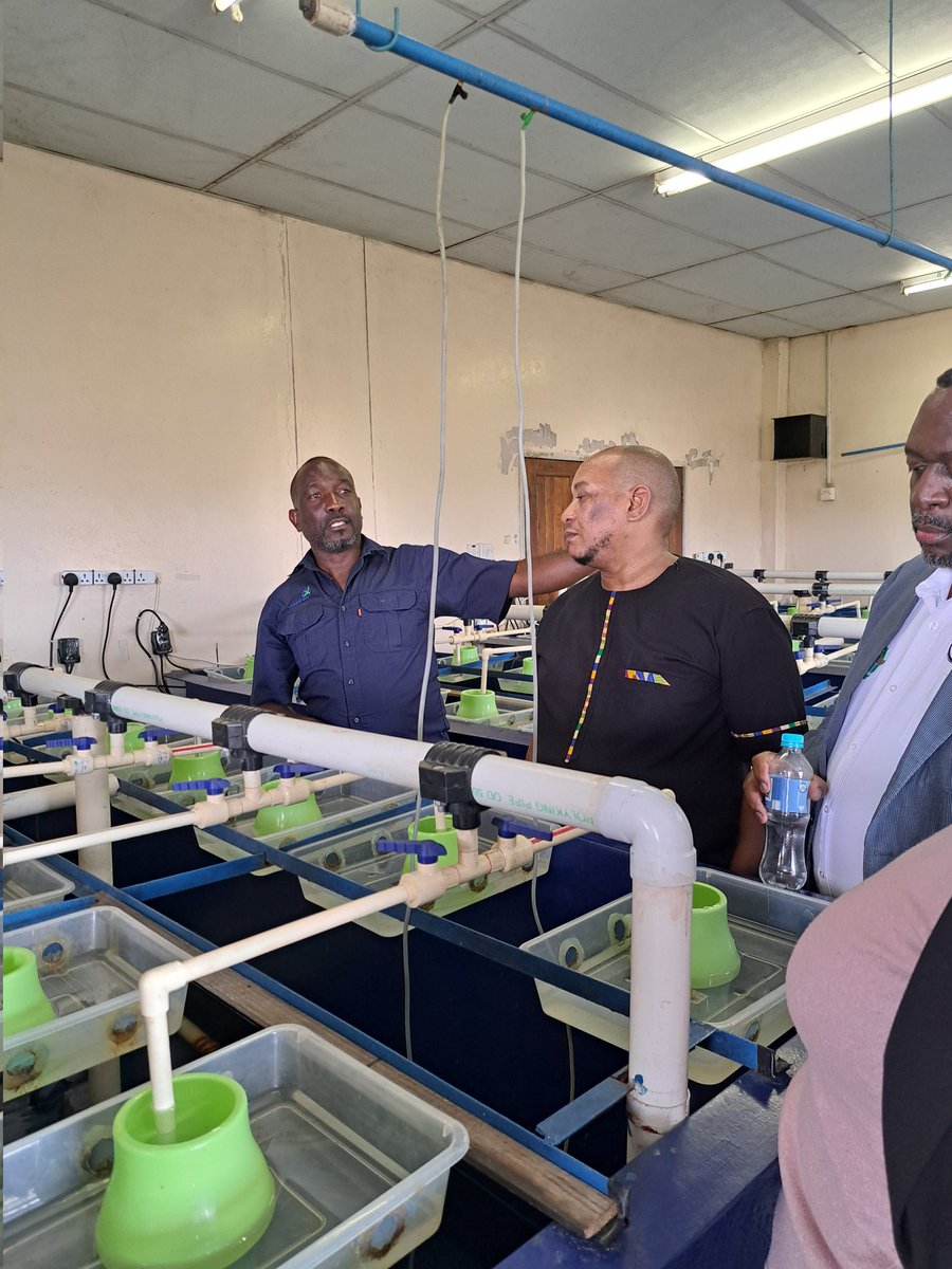 Agness Chileya tweet media