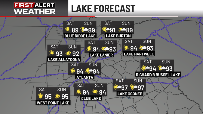 Ella Dorsey tweet media