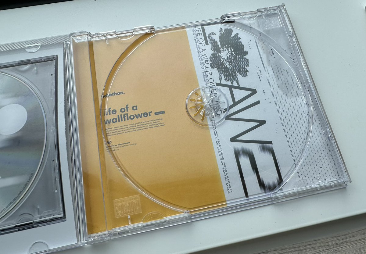 auphxre's tweet photo. I made a Life of a Wallflower Vol. 1 &amp; 2 CD ❤️‍🔥

@whethanmusic https://t.co/htPNEqgyQK