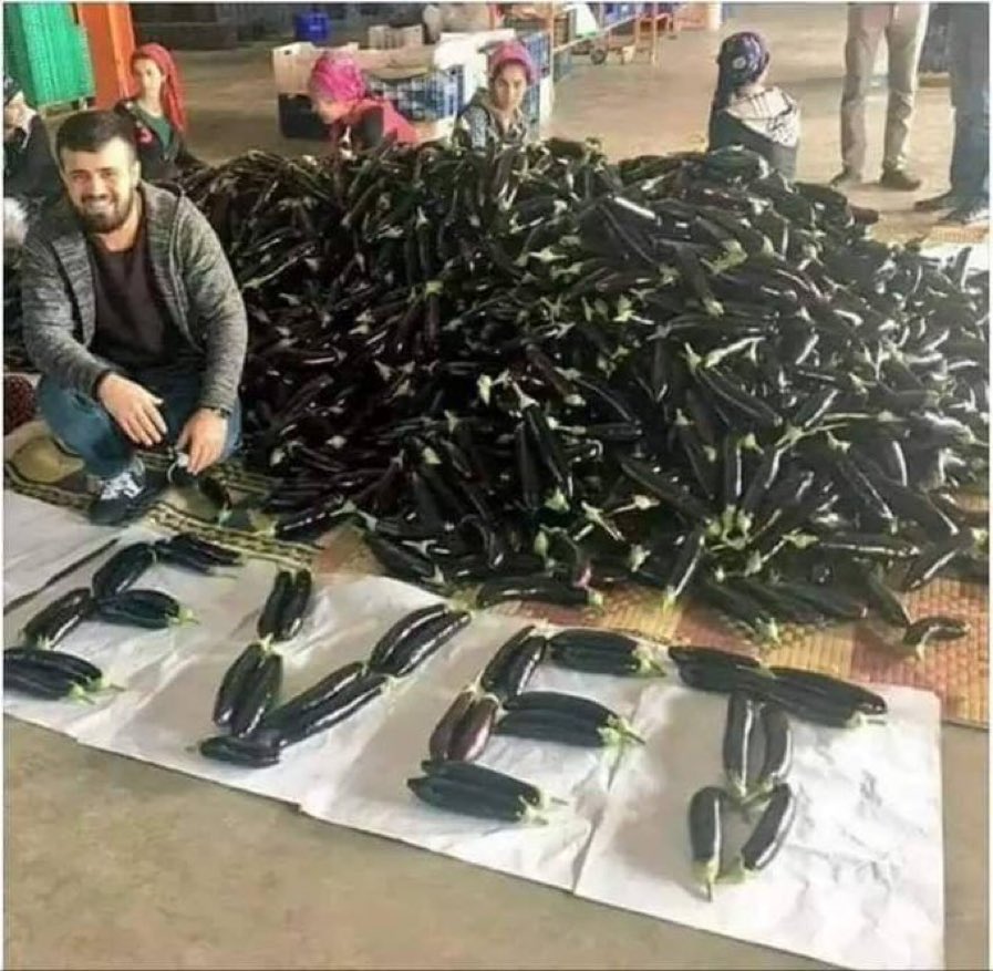 avcemilcicek01's tweet photo. Bursa-İzmir karayolunu kapatan çiftçilerden bazıları 2018 yılında patlıcanlarla EVET yazıyordu.

O zaman patlıcanlarla EVET yazmak için 10 TL yeterken, şimdi 150 TL bile yetmiyor.

Dramatik bir son. https://t.co/ZHXU37MLqw