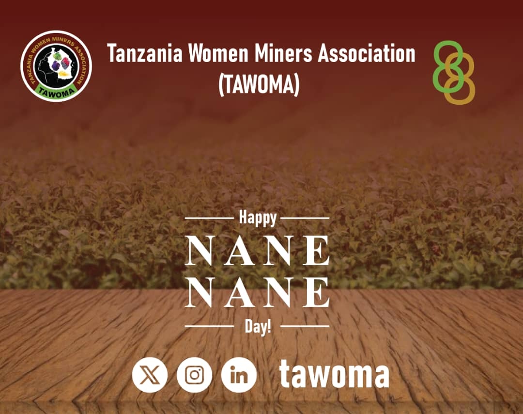 Tanzania Women Miners Association tweet media