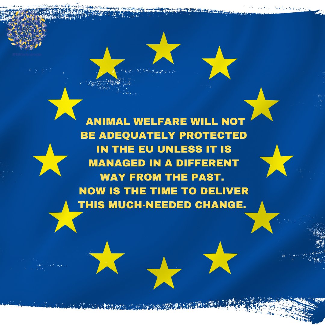 #EUforAnimals tweet media