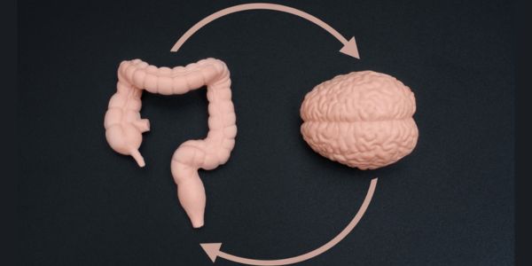 Oxford Health Biomedical Research Centre (@oxhealthbrc) on Twitter photo 📢Latest <a href="/TheBJPsych/">BJPsych Journals</a> paper suggests today that taking a specific anticonstipation drug could reduce the risk of #depression .
Read more: tinyurl.com/prucalopride 📢Latest <a href="/TheBJPsych/">BJPsych Journals</a> paper suggests today that taking a specific anticonstipation drug could reduce the risk of #depression .
Read more: tinyurl.com/prucalopride