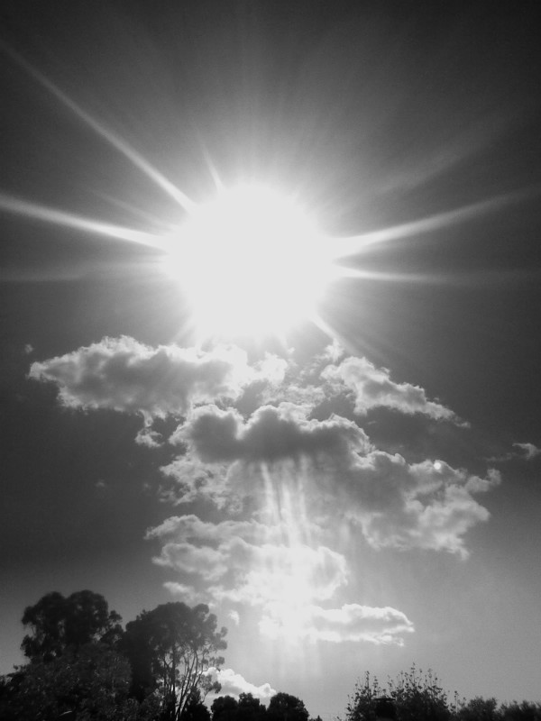 LabrynthKnight's tweet image. #blackandwhitephotography  
W. Hess