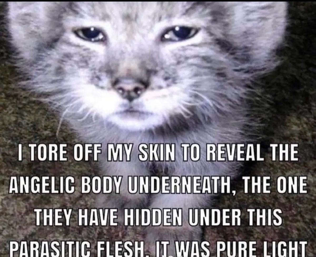 buildurdisaster's tweet image. just found out that one of my biggest safe foods that ive been eating almost daily for months isnt gluten free