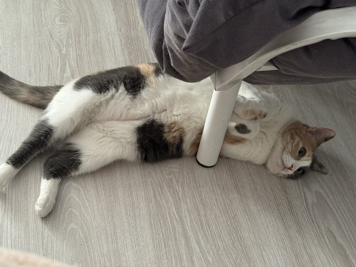 Manik-Depresif bizim kızı salalım o zaman buraya