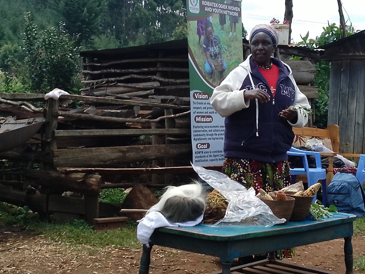 KariobangiSJC's tweet image. Exciting news! In partnership with @HakiNawiri , @koibatek_ogiek, we are hosting Agroecology training for the KWOMBERERIET Ogiek Women Group at Mlango Moja in Mumberes.  #KilimoHaiKE #Agroecology4ClimateResilience #EqualRightsAndJusticeForAll 
@landislife @malamacowiti @UhaiWetu