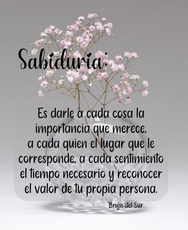 Motivosentuvida's tweet photo. Sabiduría ⚖️🙏🏼❤️ https://t.co/EkPk9iZAz6