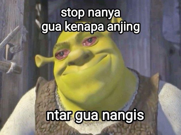 Ayy_only's tweet image. Stop gak hiks :((