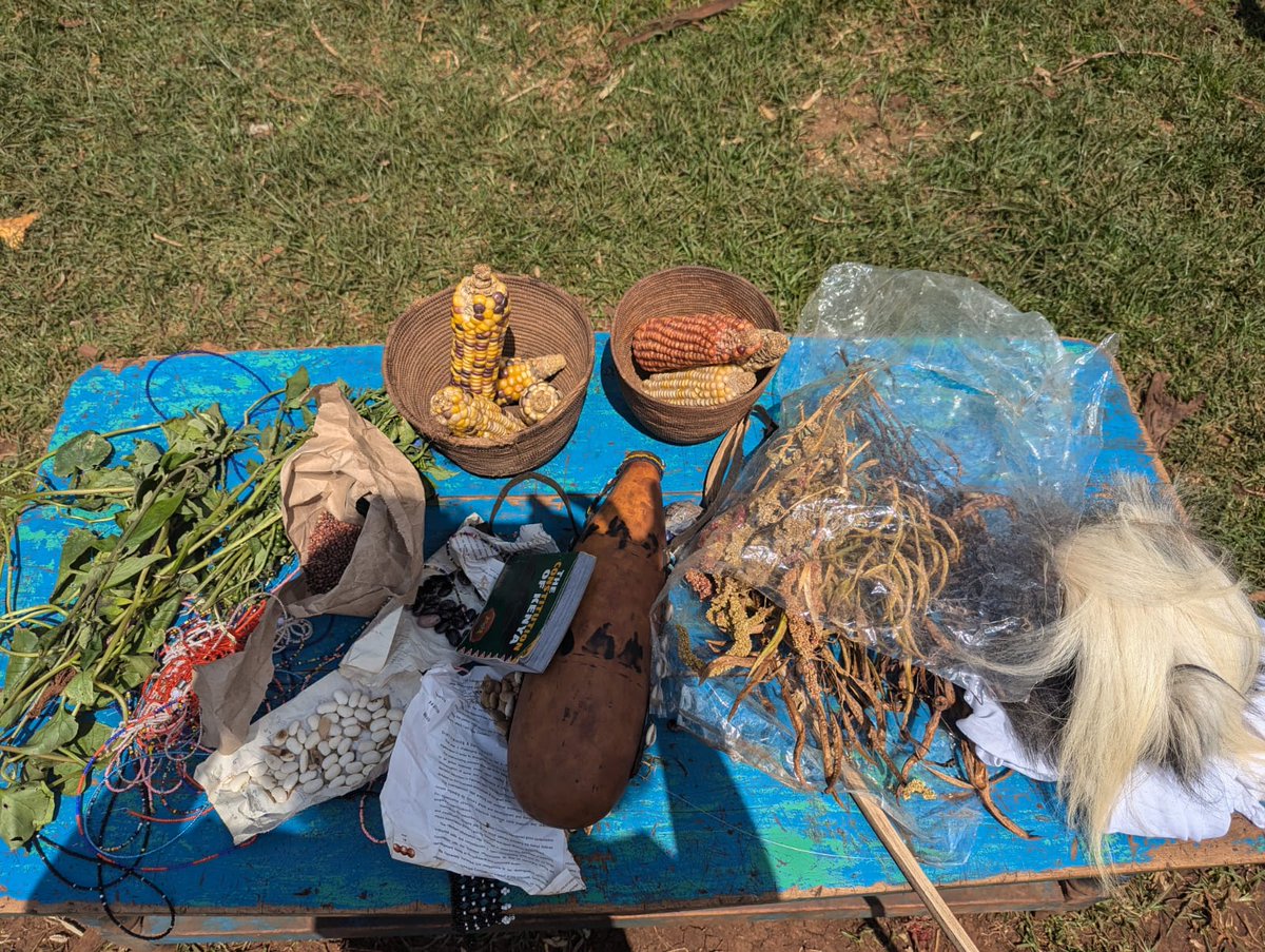 Kariobangi Social Justice Centre (@kariobangisjc) on Twitter photo Mostly Indigenous communities are oppressed" - Hosea Kendagor. As we gather in Mlango Moja, let’s remember the rich history & traditions of the Ogiek people, from traditional hunting hats to our natural food culture. #KilimoHaiKE #Agroecology4ClimateResilience <a href="/HakiNawiri/">Haki Nawiri</a> Mostly Indigenous communities are oppressed" - Hosea Kendagor. As we gather in Mlango Moja, let’s remember the rich history & traditions of the Ogiek people, from traditional hunting hats to our natural food culture. #KilimoHaiKE #Agroecology4ClimateResilience <a href="/HakiNawiri/">Haki Nawiri</a>