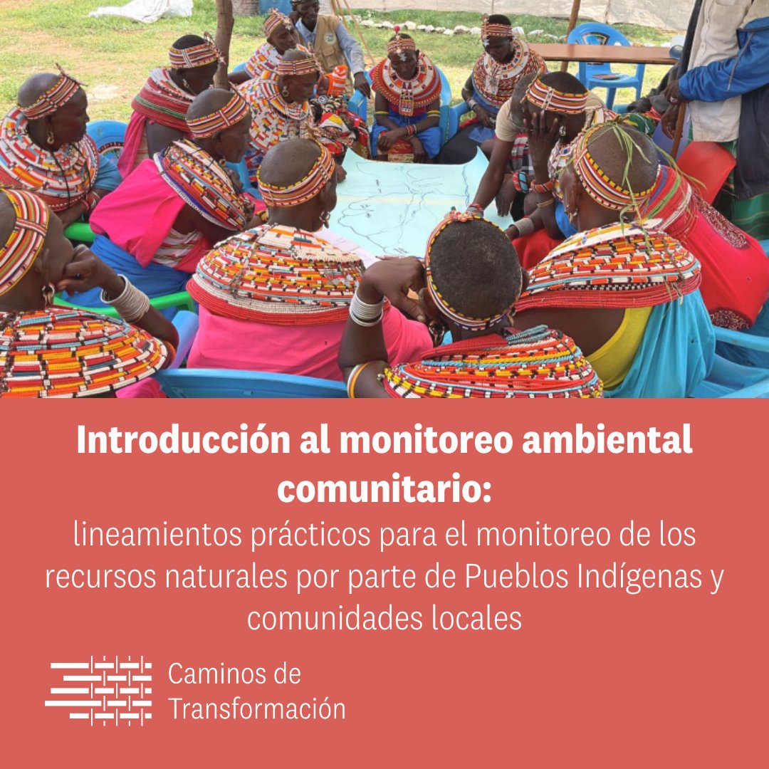 Forest Peoples Programme tweet media