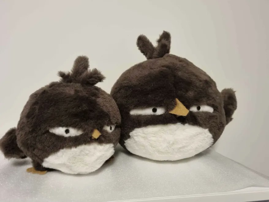 WitchSpringR's tweet photo. Let me share this super cute handmade Black Joe plushie🦉(made by Erkfir in Discord, Thanks🙌❤️) https://t.co/fdgY1H0WZy