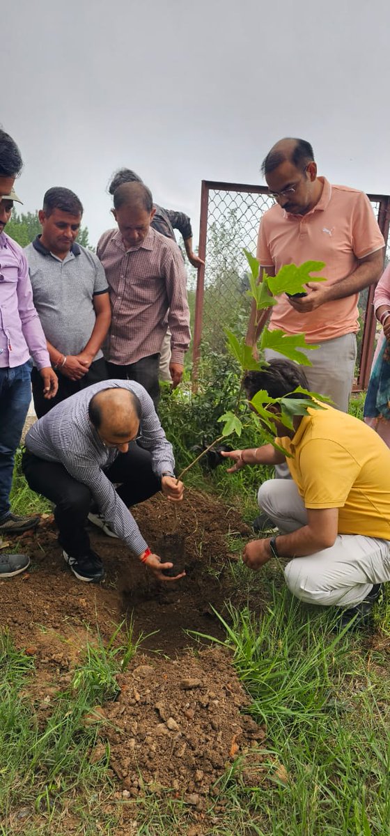 Devender Singh Bhau (@_dsbhau) on Twitter photo .<a href="/PatnitopDA/">Patnitop Development Authority</a> in collaboration with <a href="/udhadm/">DC Udhampur</a> & Forest Division Udhampur held plantation drive in #Patnitop Tourism Circuit during #SwachhtaPakhwada.
#SuchitaSangram
#EkPedMaaKeNaam
#EkPedShaheedonKeNaam
#CleanPatnitopGreenPatnitop
#CleanMountainsSaveMountains
#CarryTheTrashBack .<a href="/PatnitopDA/">Patnitop Development Authority</a> in collaboration with <a href="/udhadm/">DC Udhampur</a> & Forest Division Udhampur held plantation drive in #Patnitop Tourism Circuit during #SwachhtaPakhwada.
#SuchitaSangram
#EkPedMaaKeNaam
#EkPedShaheedonKeNaam
#CleanPatnitopGreenPatnitop
#CleanMountainsSaveMountains
#CarryTheTrashBack
