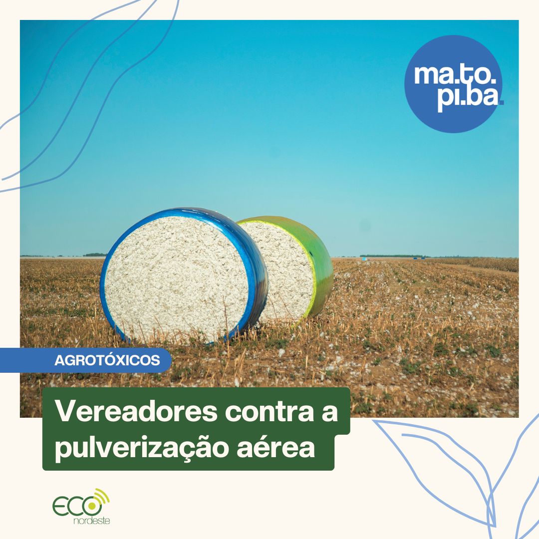 No Maranhão:  veja o que dizem leis e autoridades e entenda como os pesticidas ainda se fazem presentes no dia a dia do agronegócio: bit.ly/ContraAgrotóxi…
Foto: Eduardo Cunha