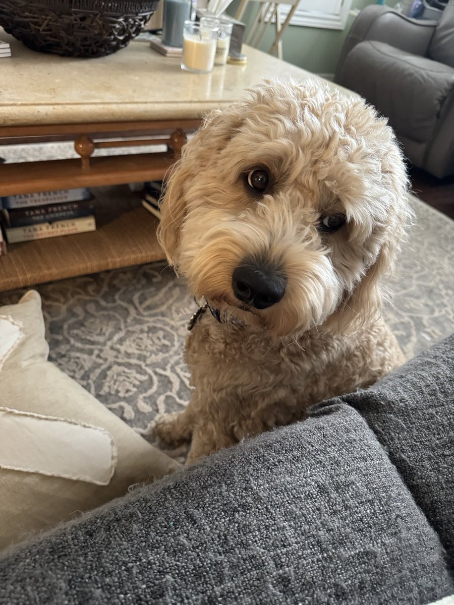 Solana Leonard ✘ tweet media