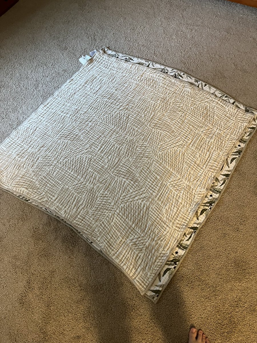 Meghan Murphy tweet media