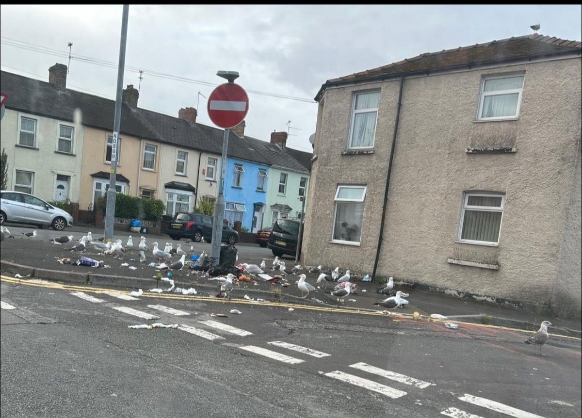 GHMC25's tweet photo. @NewportCouncil can you PLEASE do something about the rubbish dumping on the corner of Maindee Parade and Albert Ave - Maindee - It's everyday - these people need to be caught. It's becoming a health risk. https://t.co/UOYbLbJQvR