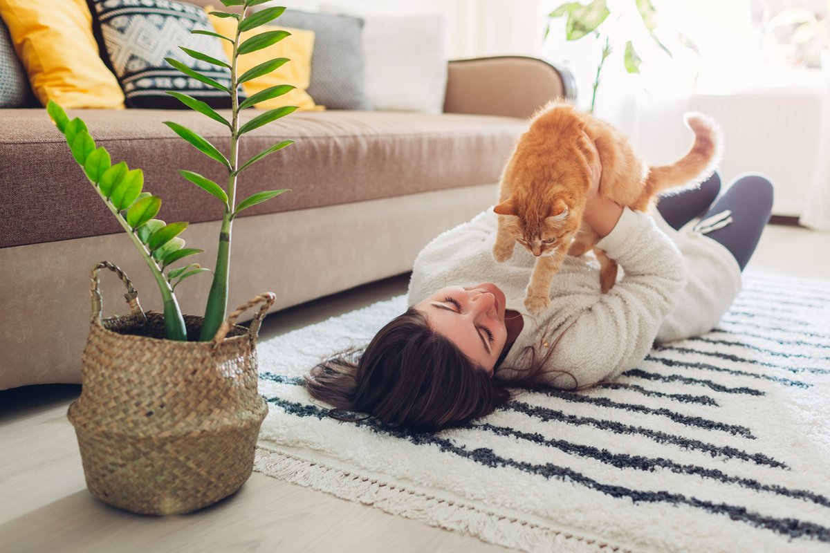 MoveHomeFaster's tweet image. 😺 Did you know that today is International Cat Day? Whether you're a cat or dog person, we're a nation of pet lovers! 

Don't miss our tips on selling your home if you have pets.

movehomefaster.co.uk/blog/article/s…

#internationalcatday