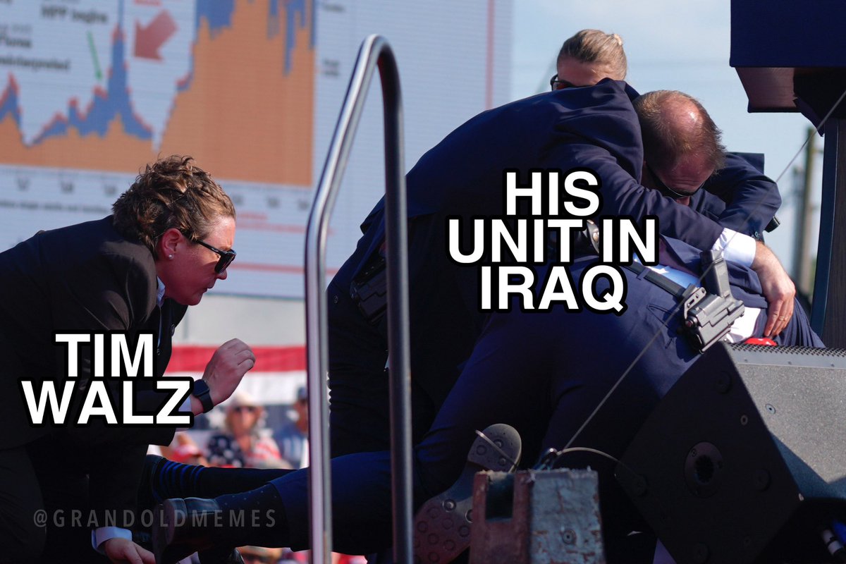 grandoldmemes's tweet image. #TimAWOLz