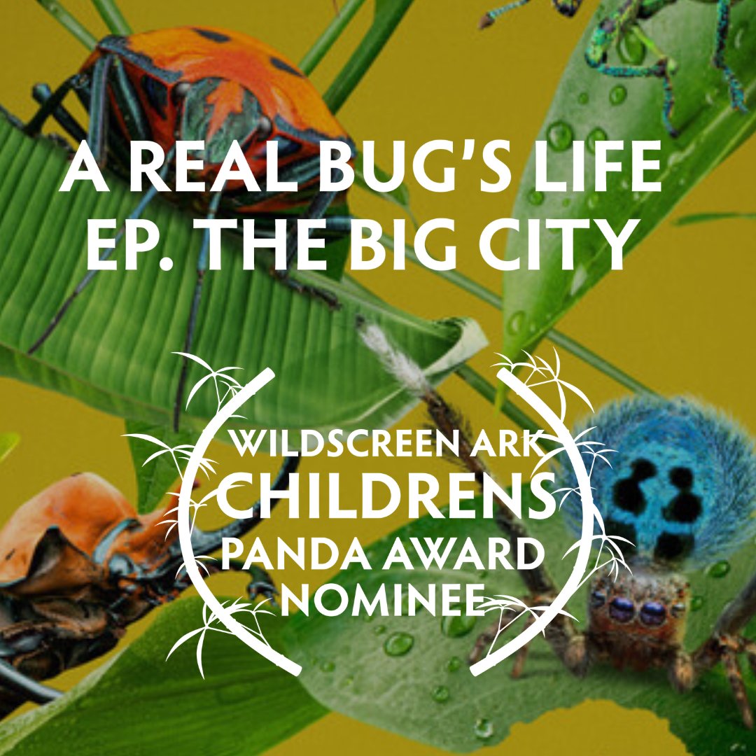 Wildscreen tweet media