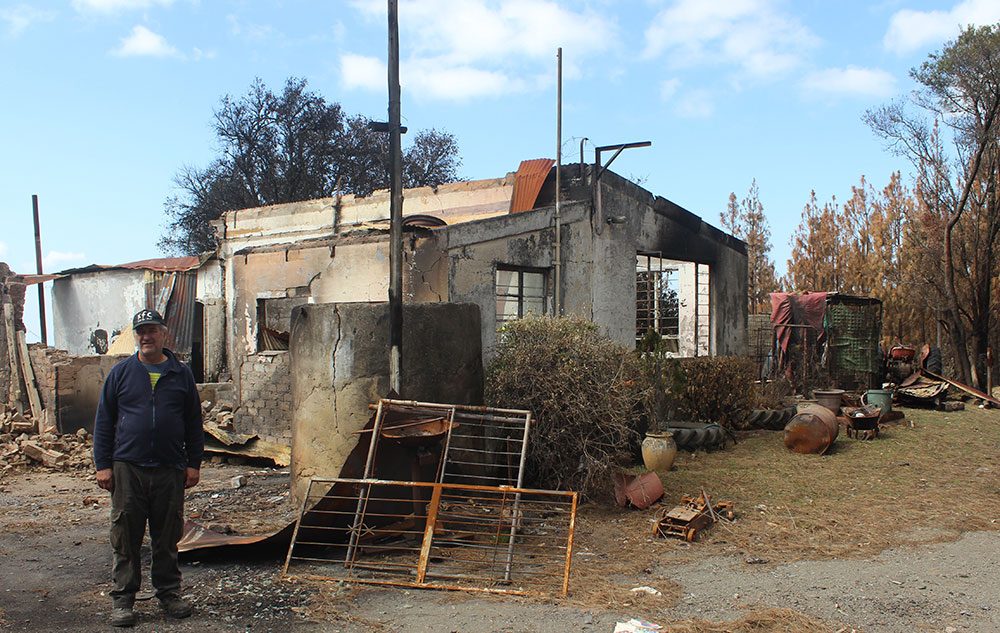 SA Forestry magazine tweet media