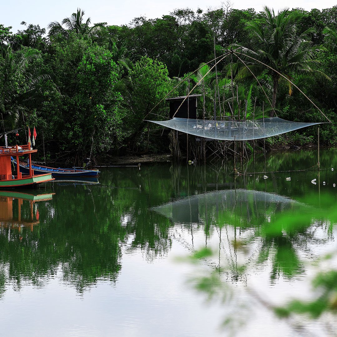 khanomsichon's tweet photo. Experience the traditional Chinese fishing nets, a fascinating method of lift net fishing that dates back centuries and adds to the region’s rich cultural tapestry.

#HaveYouBeen #KhanomSichon #DiscoverKhanomSichon #ExploreKhanomSichon #VisitKhanomSichon #Khanom #Sichon https://t.co/rYqOULK9C3