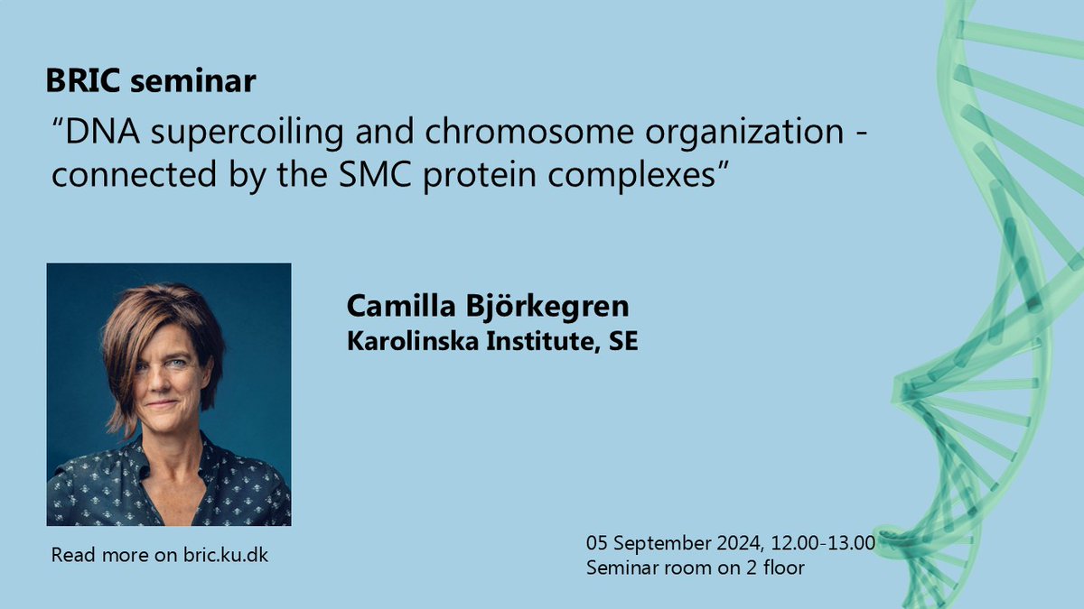 Fena Ochs tweet media