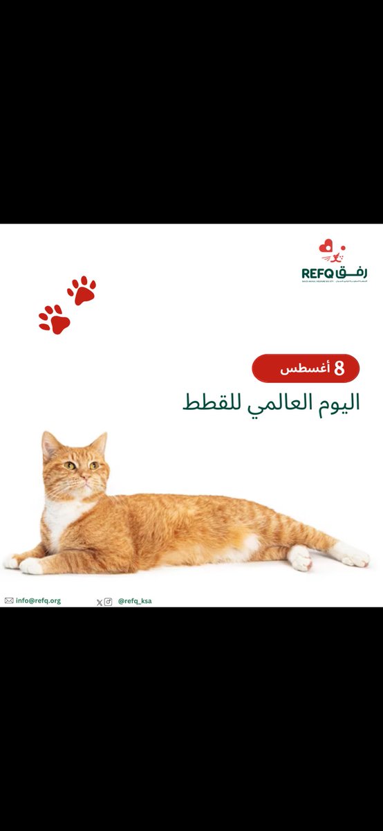 موضي بنت فهد بن مشاري بن جلوي (@eljelwih) on Twitter photo 