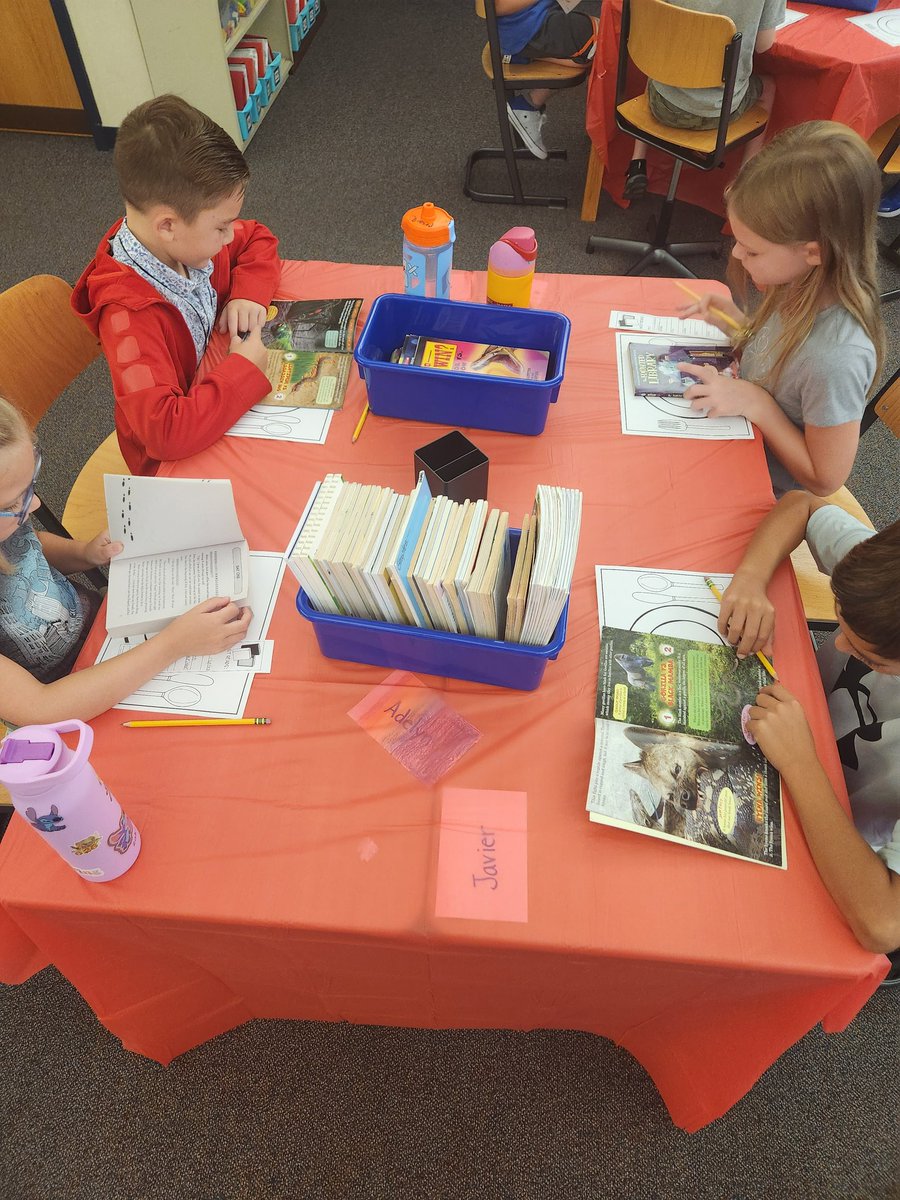 Mrs. Kelly Staples tweet media