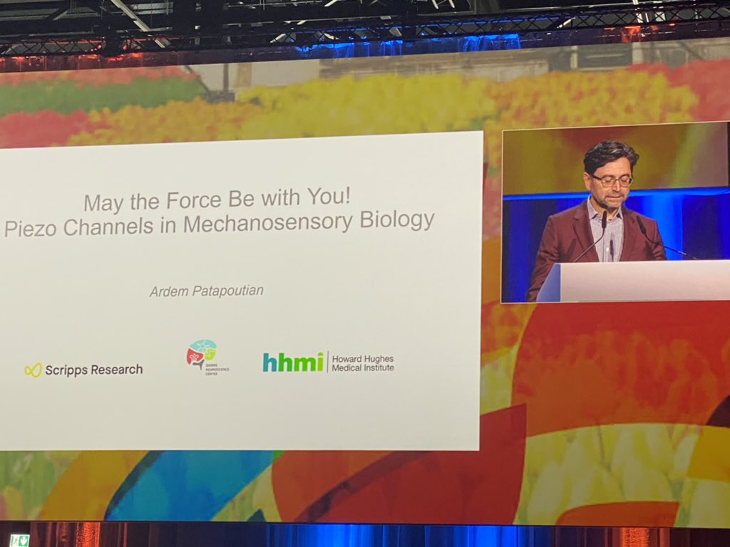 Listening to Nobel prize in Physiology or Medicine 2021 winners Ardem Patapoutian and David Julius on their work looking at mechanosensory processes #WC2024 <a href="/IASPpain/">IASP</a>